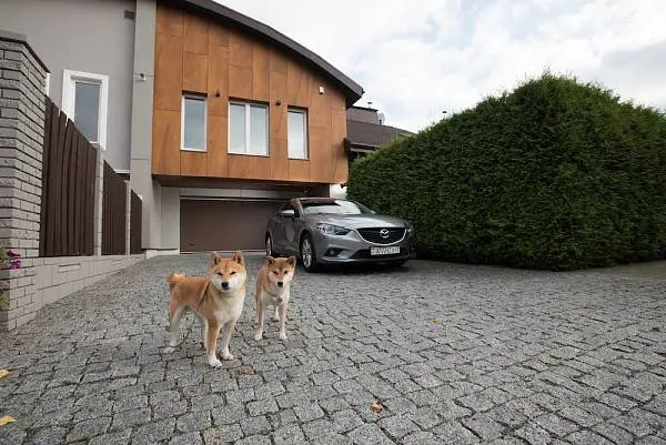 До конца лета монтаж секционных ворот Prestige за полцены