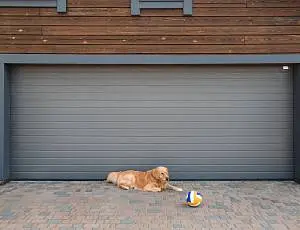 Скидка 5% на ворота Trend